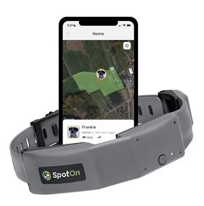 Read more about the article SpotOn GPS Dog Fence Review